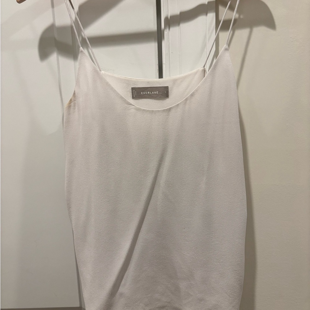 Everlane Silver Gray Silk Camisole